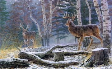 am126D13 animal deer Oil Paintings
